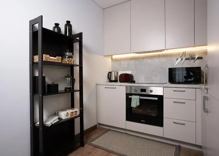 Lazdyneliu Vingis, Free Underground Parking, Long Welcome ヴィリニュス